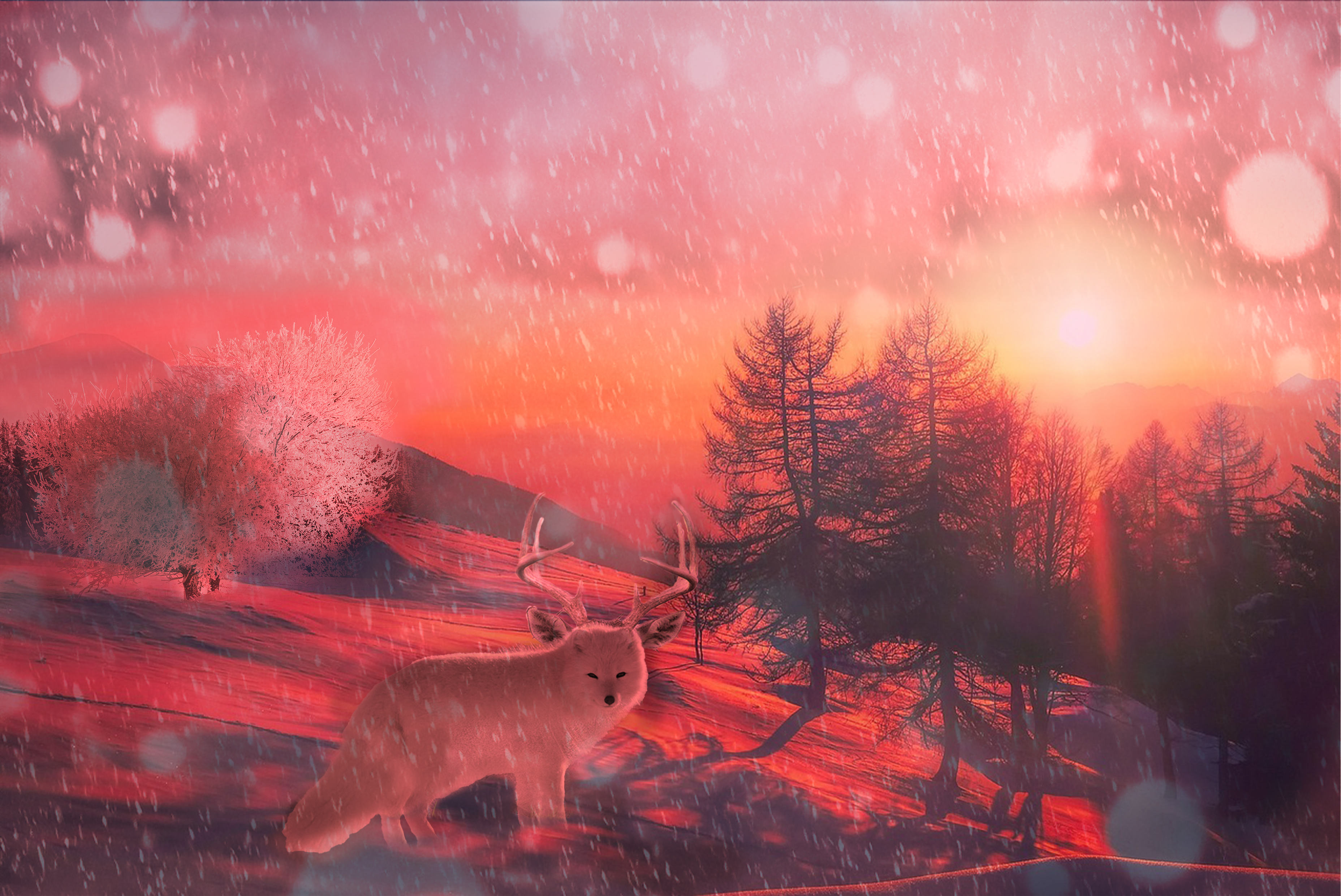 adobe photoshop design of a sunset over winter forest with a fox